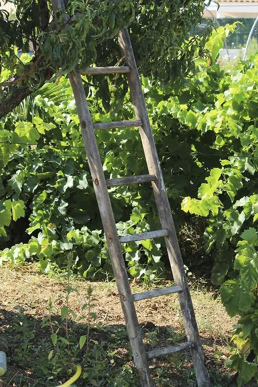 Le Carre Des Vignes Hotel Six-Fours-les-Plages Frankrijk